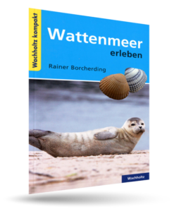 Wattenmeer erleben - kompakt-0