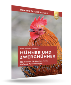 Hühner und Zwerghühner-0