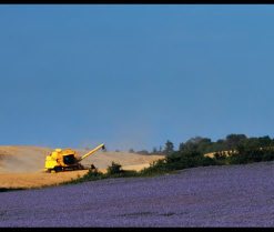 37 Jahre Titelfotografie - Bildband H. Dietrich Habbe-184