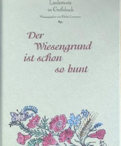 Der Wiesengrund ist schon so bunt: Liedertexte im Großdruck