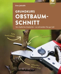 Grundkurs Obstbaumschnitt