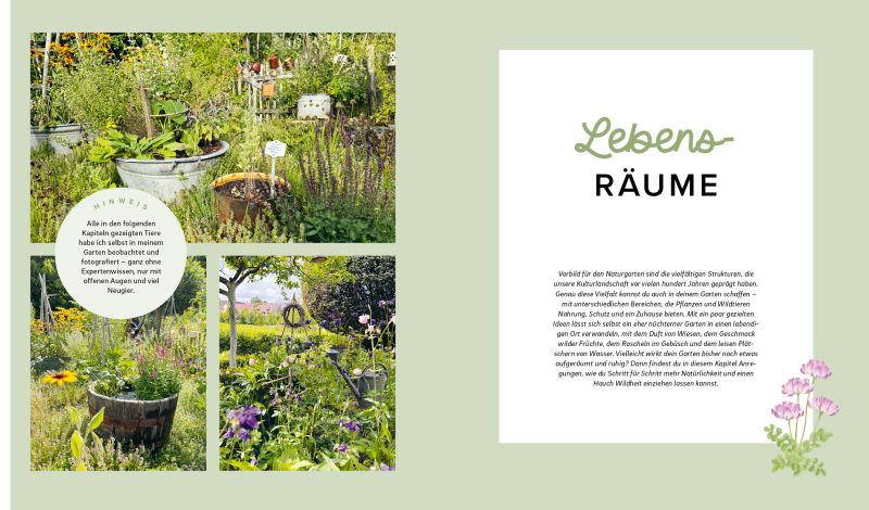 Mein wilder, bunter Garten – Bild 3