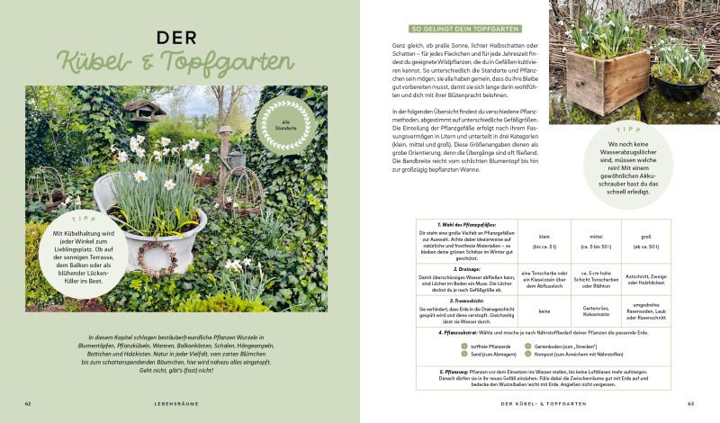 Mein wilder, bunter Garten – Bild 4