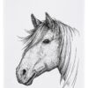 Geschirrtuch Pferd