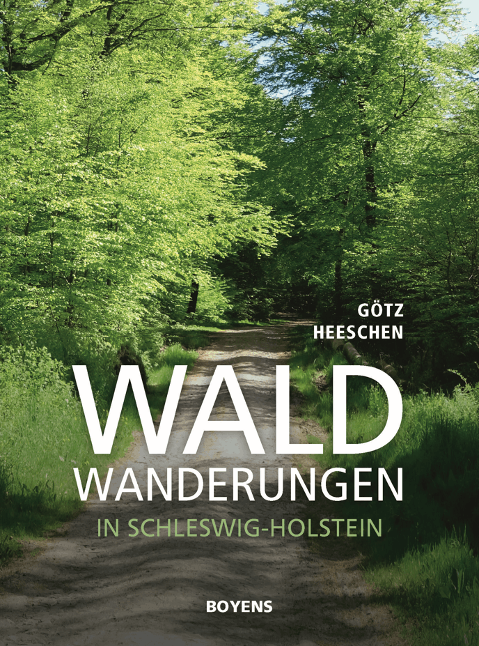 Waldwanderungen in Schleswig-Holstein