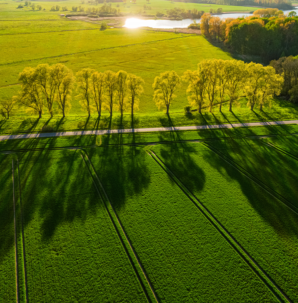 Wo das Licht das Land berührt 2027 – Bild 4